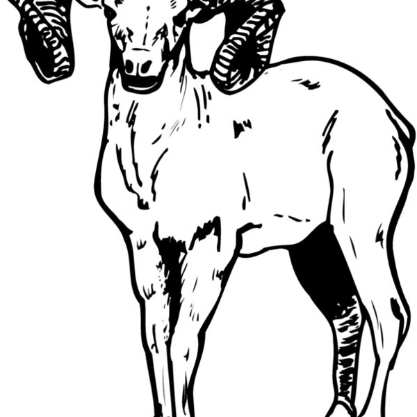 RAM006 Thumbnail