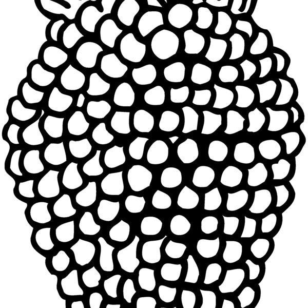 FRUIT003 Thumbnail